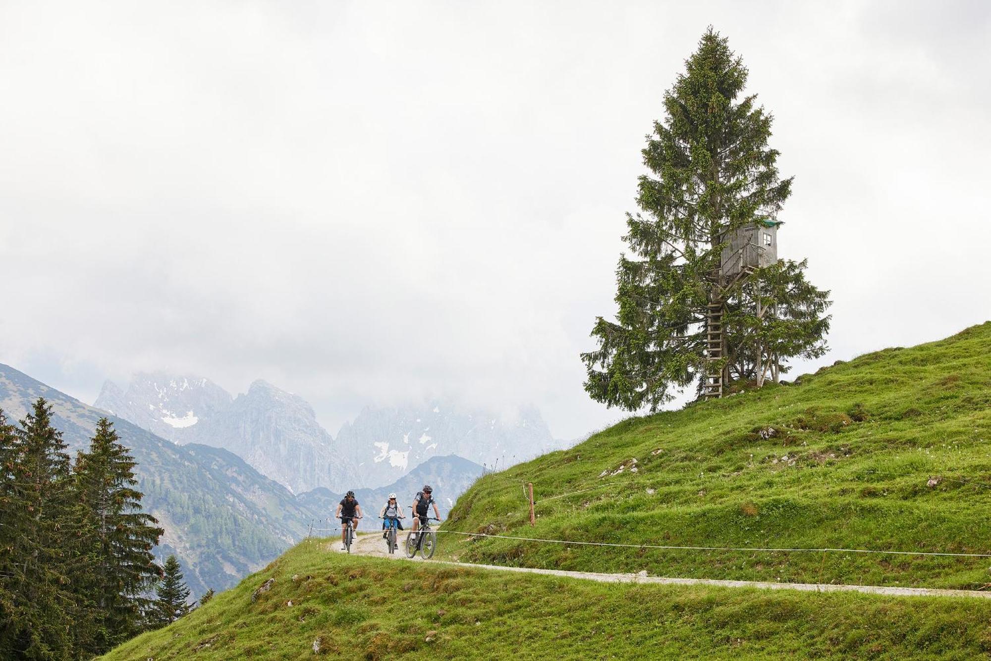 Aktivresort Walchsee